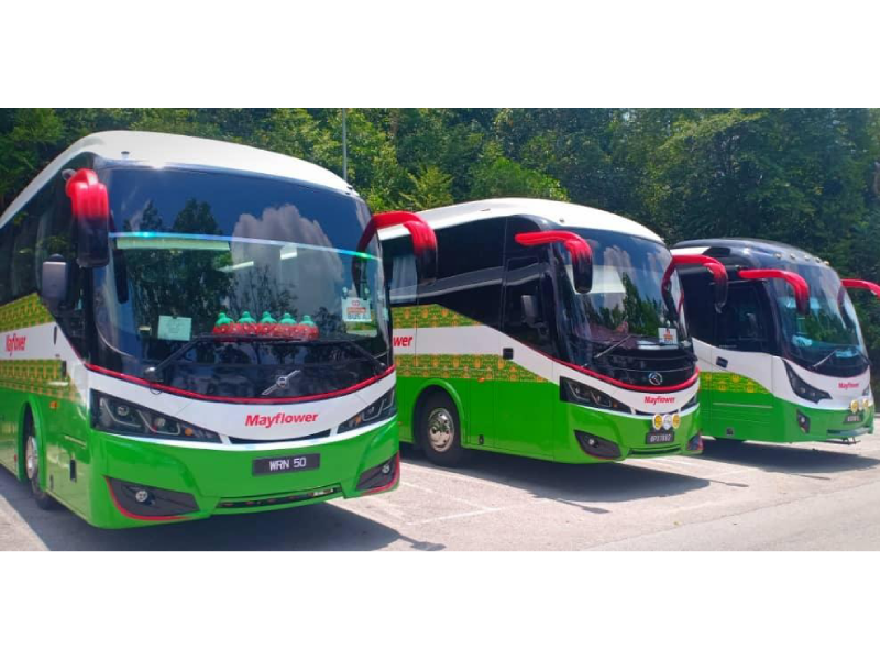 bus